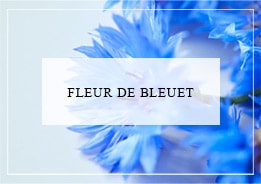 Bleuet